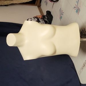 1/2 Womens torso